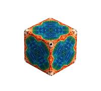 Jeu d'adresse Fun In Motion Shashibo Terre