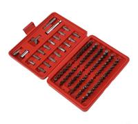Jeu de 100 Embouts Visseuse Magnétiques pour torx Hex Jeu de | Acier pour s2 traité, aimant puissant, têtes pour torx Hex, usage intensif, compatible toutes marques