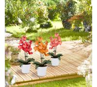 Jeu de 120 pinces à plantes RD43536