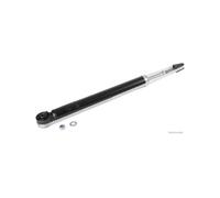 Jeu de 2 amortisseurs arrière HERTH+BUSS JAKOPARTS J4321003