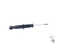 Jeu de 2 amortisseurs arrière MONROE G1086