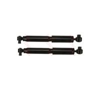 Jeu de 2 amortisseurs arrière TRW JGT216T