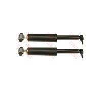 Jeu de 2 amortisseurs arrière TRW JGT455T