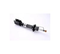 Magnum Technology AGR047MT Amortisseur pour RENAULT