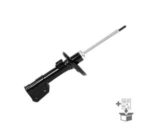 Jeu de 2 Amortisseurs avant MONROE G8110