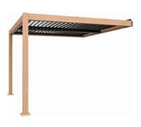 Jeu de 2 charbons adaptable Bosch 6,35 x 10 x 17mm Effet bois