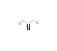 Greenstar 2615 Jeu de 2 Charbons adaptable pour Nilfisk 0995 6 x 10 x 32/37 mm