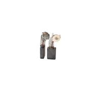 Jeu de 2 charbons adaptable pour RYOBI