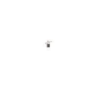 Jeu de 2 Charbons compatible Bosch 6,3 x 12,5 x 25mm