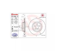 Jeu de 2 disques de frein arrière BREMBO 09.D096.13