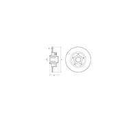 Jeu de 2 disques de frein arrière DELPHI BG9137RS