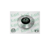 Jeu de 2 disques de frein arrière LPR R1005PCA