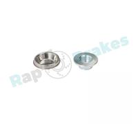 Jeu de 2 disques de frein arrière RAP BRAKES R-D0820