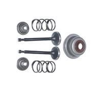 Jeu de 6 ressorts de soupape et de siège de soupape compatibles avec les groupes électrogènes GX160, GX200 et 168F (5,5 CV, 6,5 CV, 2 kW-3 kW).