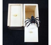 Jeu De Boîte En Bois Pour Blague Réaliste Et Surprise Drôle,Gadgets De Jouets Pratiques En Motif Araignée Pour Faire Peur,Journée Des Fous,Cadeaux De Poisson D'avril - Type White Box Spider