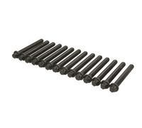 Jeu de boulons de culasse AJUSA 81029600