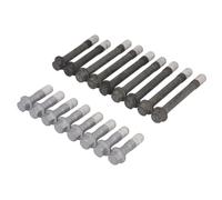 Jeu de boulons de culasse AJUSA 81074600