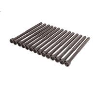 Jeu de boulons de culasse de cylindre ELRING 794.480 pour 1 (F21) 3 2015-2019