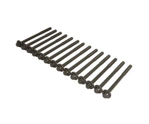 Jeu de boulons de culasse ELRING 469.830