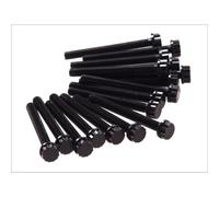 Jeu de boulons de culasse ELRING 820.040