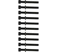 Jeu de boulons de culasse REINZ 14-32046-01