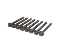 Jeu de boulons de culasse VICTOR REINZ 14-32344-01