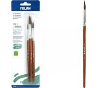 Jeu de brosses 6,10,14 série 101 BWM 10460 MILAN blister