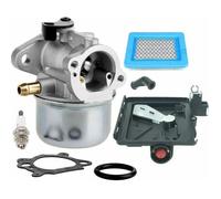 Jeu de carburateurs Carburateur de remplacement pour Briggs & Stratton 498170 799872 694202 497586 498254 790821