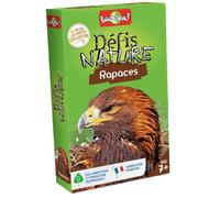 DEFIS NATURE - RAPACES