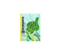 Jeu de cartes stratégique Djeco Bazarquatik 48 cartes Compact 6+ 2-4 joueurs Aqua/vert