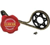 Jeu de chaînes X-Ring renforcé pour Honda CBR900 RR T, V, W, X Fire Blade (USA) 1996-1999 doré "16 à 43