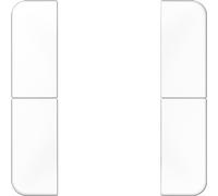 Jeu de clés, 2x complet - Plaque de recouvrement pour interrupteur blanc CD 502 TSAWW