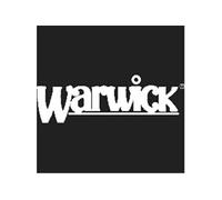 JEU DE CORDES GUITARE WARWICK 42200
