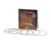 Jeu de Cordes Oud en Nylon Transparent, Alliage de cuivre plaqué Argent, Accessoire de Remplacement pour Les Amateurs de Oud 10 11 12 Cordes, durables et légères (11strings)