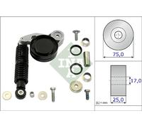 Jeu de courroies INA à nervures trapézoïdales pour Audi A4 A6 A8 Allroad Skoda Superb VW Passat