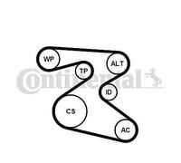Contitech 6PK1873K1 Kit Courroie Multi V Continental