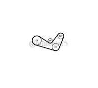 Contitech 6PK1050K2 Kit Courroie Multi V Continental