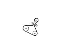 Jeu de courroies trapézoïdales à nervures CONTITECH 6PK1179 EXTRA K1