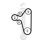Jeu de courroies trapézoïdales à nervures CONTITECH pour A3 (8L1) 1.9 2000-