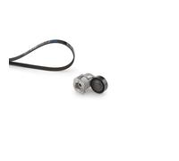 Jeu de courroies trapézoïdales à nervures K025PK848 GATES pour FORD VOLVO