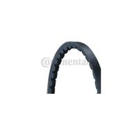 Jeu de courroies trapézoïdales CONTITECH 2XAVX10X1000