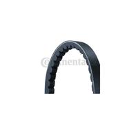 CONTITECH 2XAVX13X1100 Jeu de courroies trapézoïdales