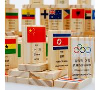 Jeu De Dominos En Bois Pour Enfants De 3 À 7 Ans, Ensemble De 100 Pièces, Blocs De Drapeau National, Jouets Cognitifs, Pour Mieux Comprendre Le Monde