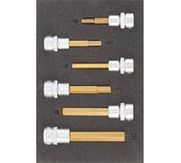 Jeu de douilles-embouts 6 pièces Hazet 163-302/6 Entraînement: carré creux 3/8 (10 mm) Sortie: 6 pans intérieurs 1 set