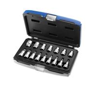 Jeu De Douilles TORX 1/2 Pouce Expert 16 Pièces Masculin Et Féminin BRIE032907B