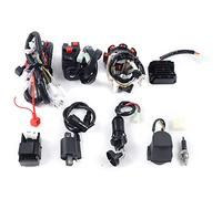 Jeu de faisceaux de câbles, faisceau de câbles CDI redresseur, bobine de stator électrique, câble électrique complet pour ATV, QUAD Bike Buggy 150-250 300 CC