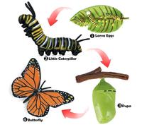 Jeu De Figurines De Papillon Naturel, Étapes Du Cycle De Vie, Jouets D'Apprentissage Préscolaire Pour Enfants En Bas Âge