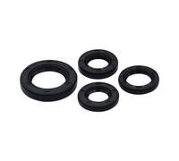 Jeu de joints à lèvre pour scooter chinois 4 temps, Baotian, Rex RS450, GY6, 139 QMB