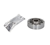 Jeu de joints, arbre de transmission AKUSAN G7A004AKN