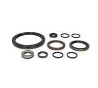 Jeu de joints, boîte manuelle ZF 1315298002